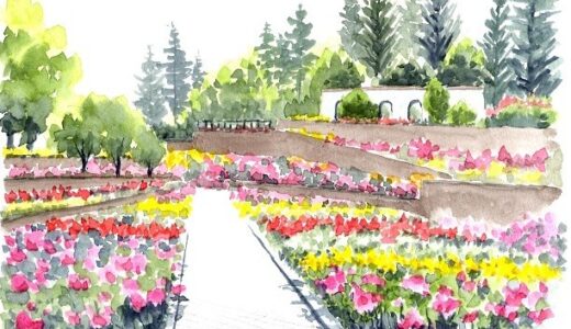 【6月夏イベント・花】「ローズフェア」のイベント情報【清水町】(2026年6月20日～7月12日まで)