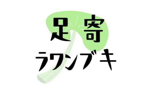 【6月夏イベント・祭】「足寄ふるさとラワンぶきまつり」のイベント情報【足寄町】(2026年6月21日開催)