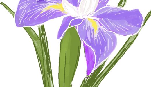 【6~7月夏イベント・花】「花菖蒲園 夜間ライトアップ」のイベント情報【芽室町】(2026年度・開催決定)
